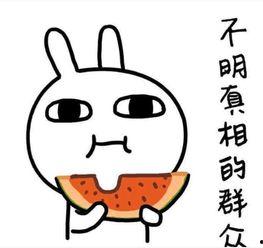 吃瓜搞笑奇葩文案短句,吃瓜搞笑奇葩文案短句大盘点