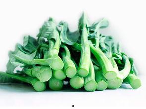 兰理工吃瓜,一场别开生面的校园文化盛宴