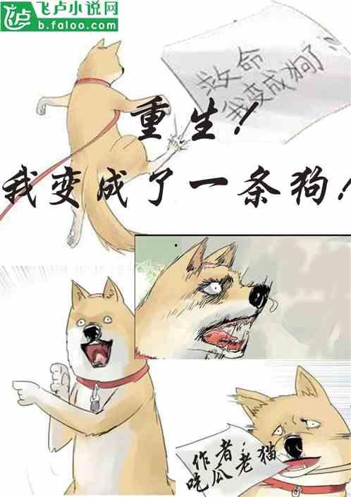 吃瓜发疯小说推荐,揭秘吃瓜发疯小说的奇幻世界