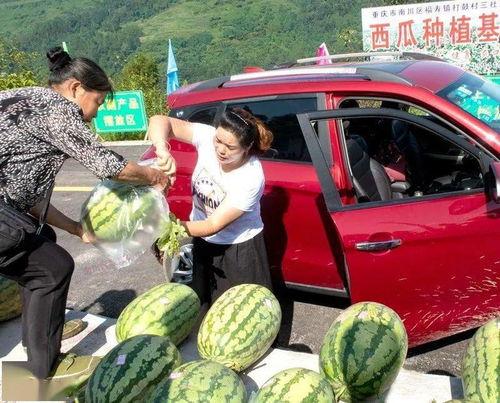 农村吃瓜的群众,见证乡村变迁的“瓜界”风云