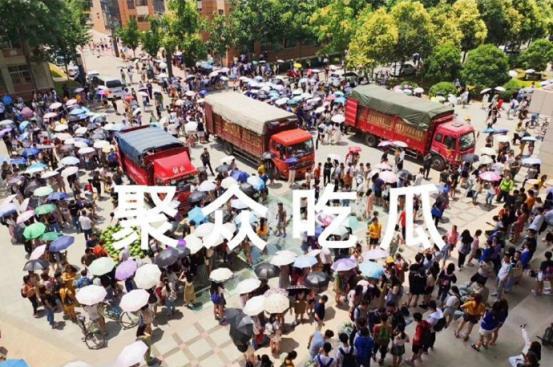 今日吃瓜安阳学院