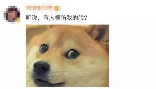 女生发消息加狗头和吃瓜,女生趣味互动瞬间