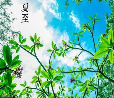 夏至吃凉瓜的文案,凉瓜清爽一夏，传统习俗与健康饮食的完美融合