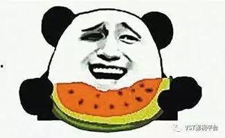 吃瓜群众哪里的瓜甜,揭秘哪里的瓜甜如蜜