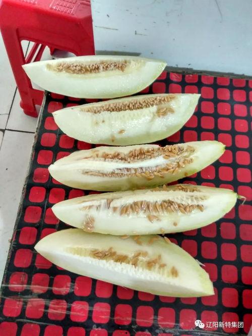 白园瓜怎么吃,解锁美味新体验
