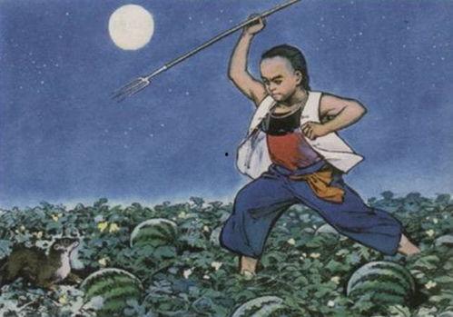 吃瓜少年鬼见愁,揭秘娱乐圈背后的秘密与真相