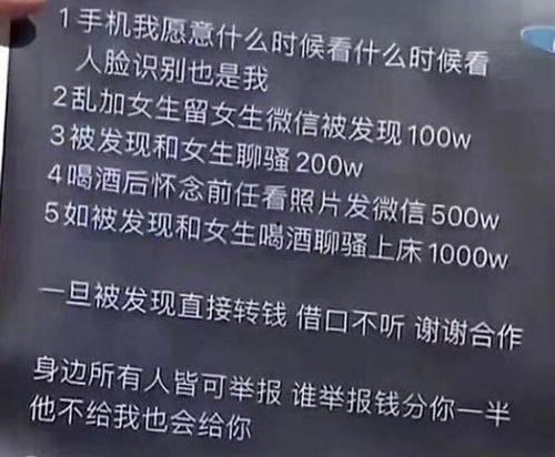 关于猹的吃瓜文案,一场关于生态与生存的吃瓜大揭秘