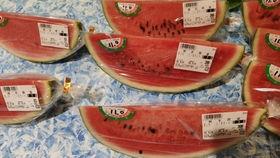 正直吃瓜人,洞察人生百态